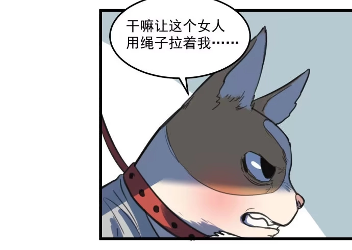 《狗城》文明养犬 遛狗牵绳 第8页