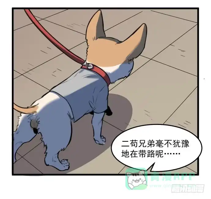 《狗城》我不要跟他一起 第11页
