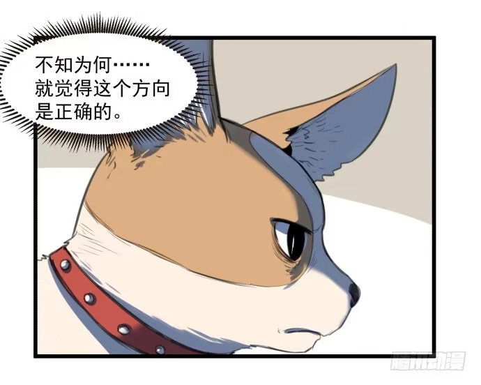 《狗城》我不要跟他一起 第12页