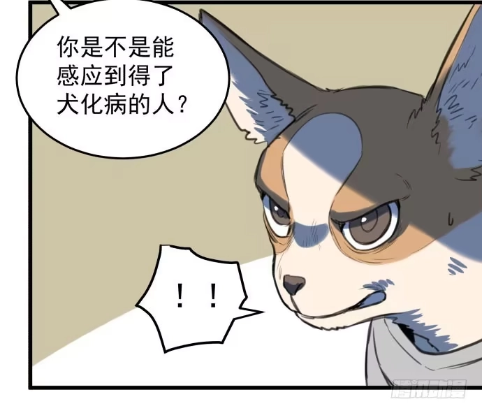 《狗城》犬化病雷达 第5页