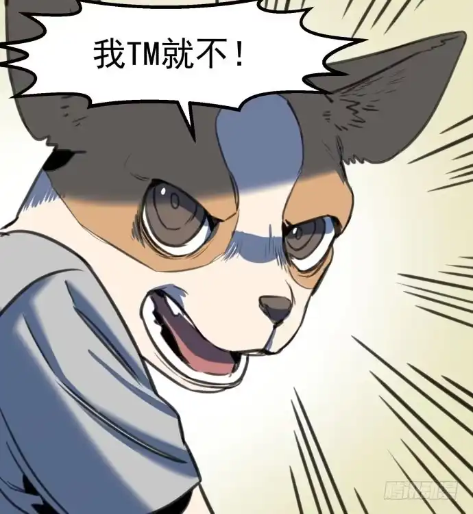《狗城》犬化病雷达 第20页