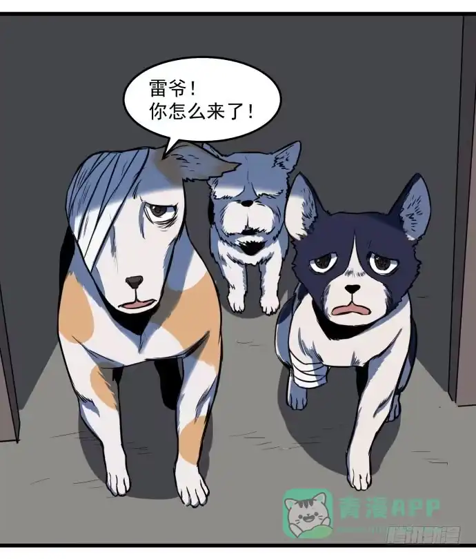 《狗城》被狗咬了 第41页