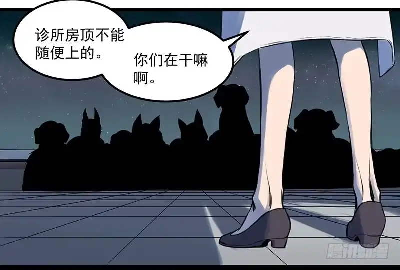 《狗城》偷窥帅哥洗澡的狗子少女们 第8页
