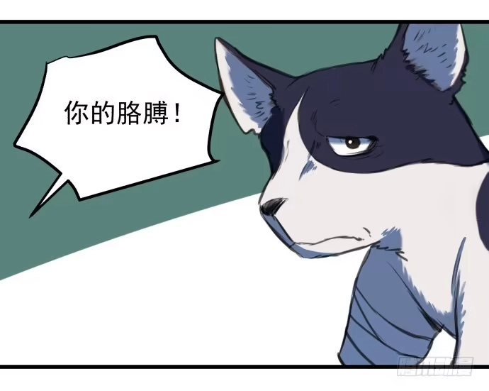 《狗城》噩梦 第4页