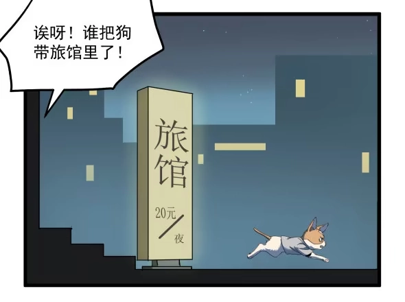 《狗城》以后我罩着你 第9页