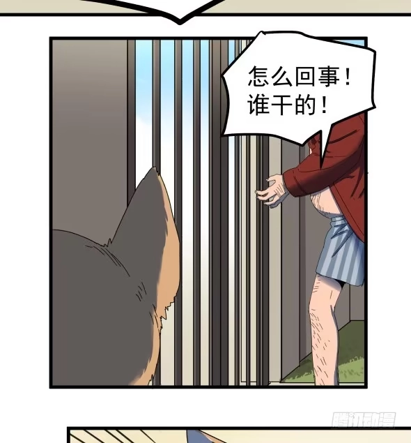 《狗城》以后我罩着你 第44页