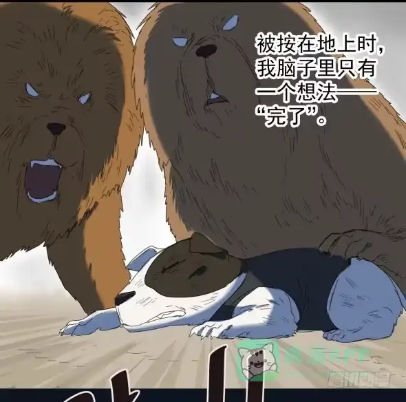 《狗城》以后我罩着你 第31页