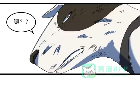 《狗城》以后我罩着你 第36页