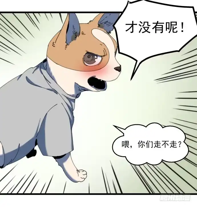 《狗城》又出现了牺牲者 第19页