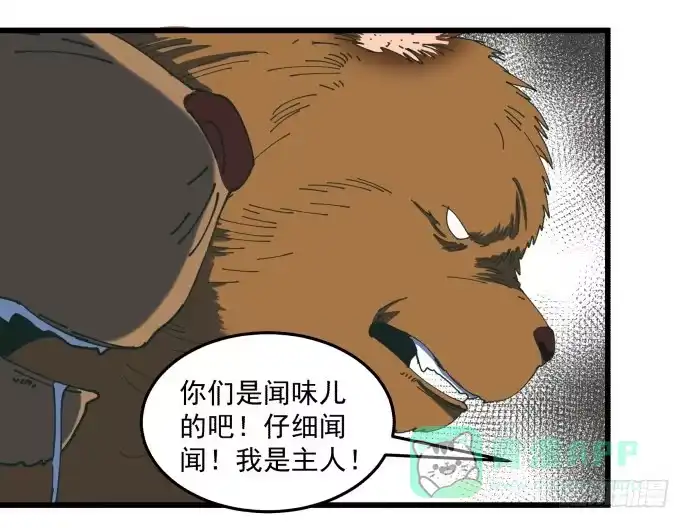 《狗城》又出现了牺牲者 第36页