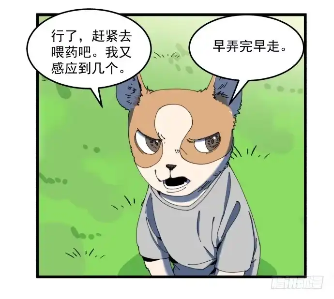 《狗城》又出现了牺牲者 第15页