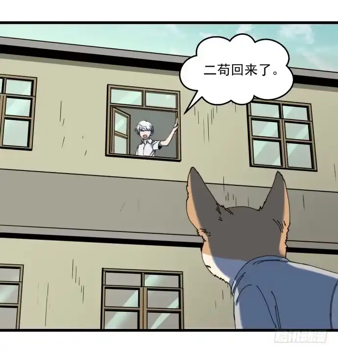 《狗城》又出现了牺牲者 第13页