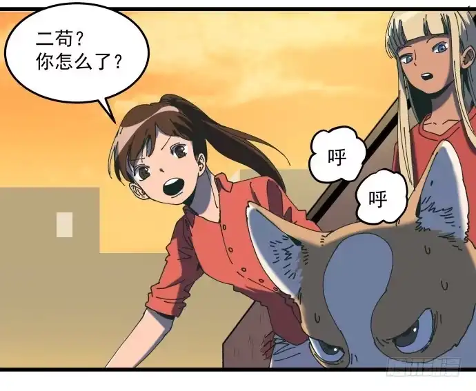 《狗城》大喜 第37页
