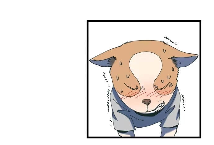 《狗城》大局 第33页