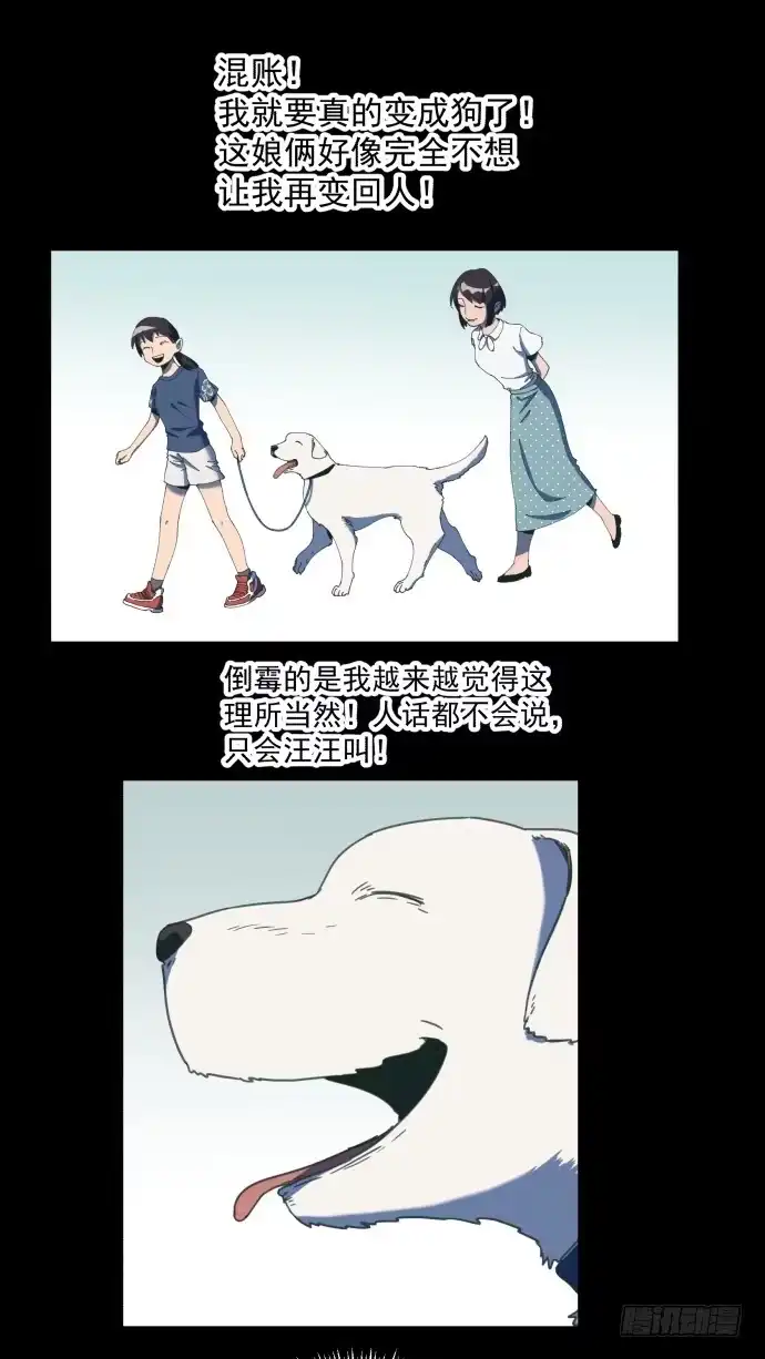 《狗城》习惯当狗了 第13页
