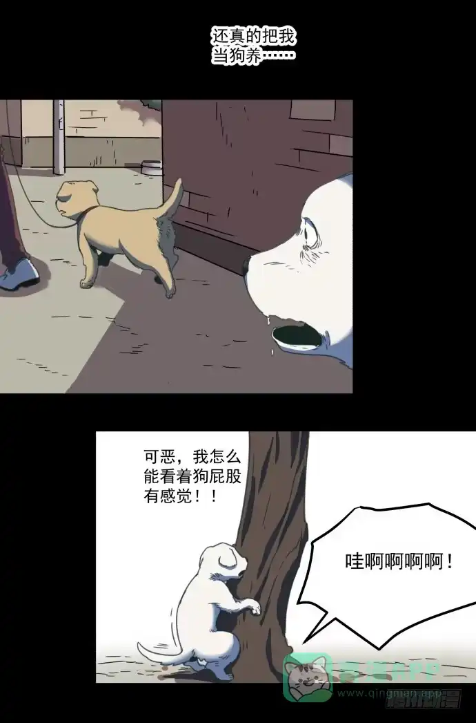 《狗城》习惯当狗了 第11页