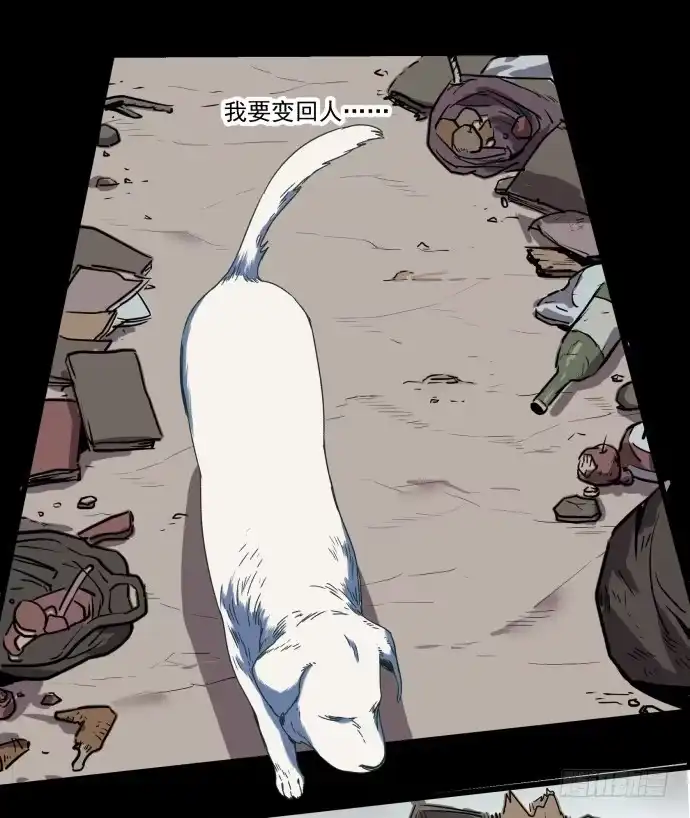《狗城》习惯当狗了 第2页