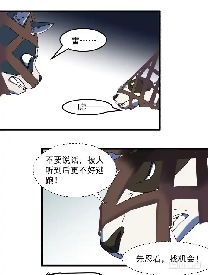 《狗城》童颜老妖婆 第20页