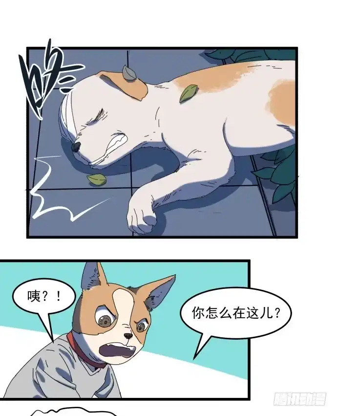 《狗城》童颜老妖婆 第18页