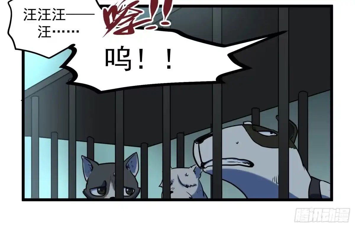 《狗城》阴谋显现？！ 第13页