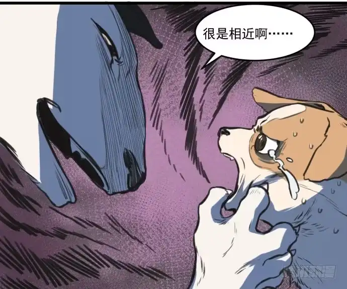 《狗城》犬化病的少女 第13页
