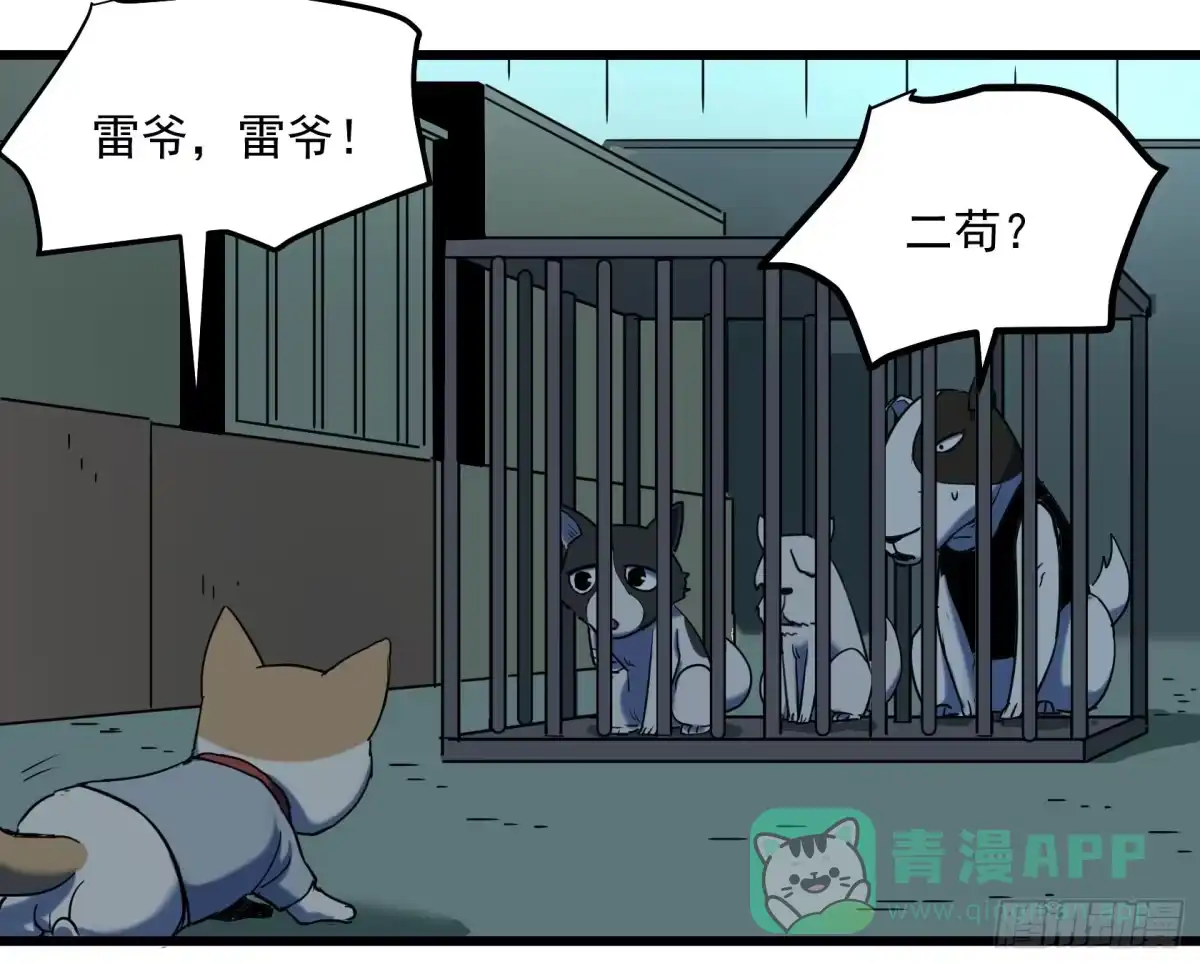 《狗城》神仙打架 第31页