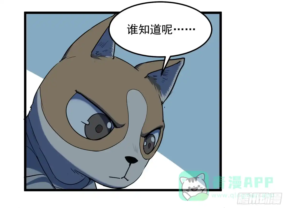 《狗城》神仙打架 第36页