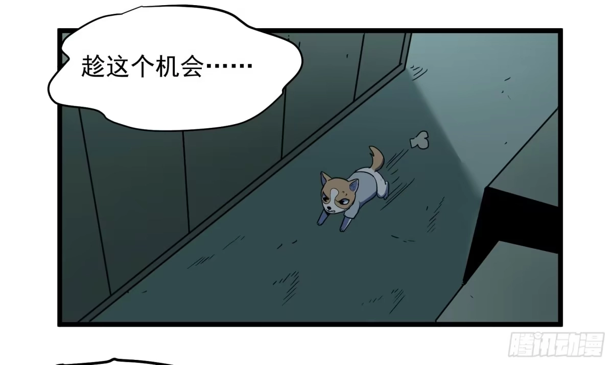 《狗城》神仙打架 第30页