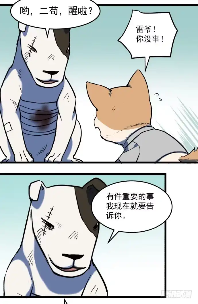 《狗城》从今天起你就是帮主了 第29页