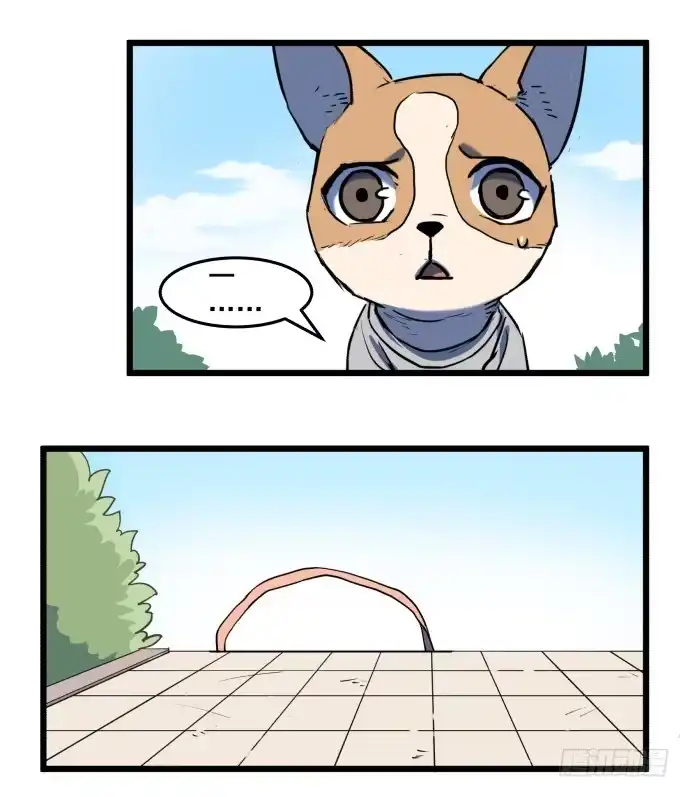 《狗城》我一定会保护犬封人 第5页
