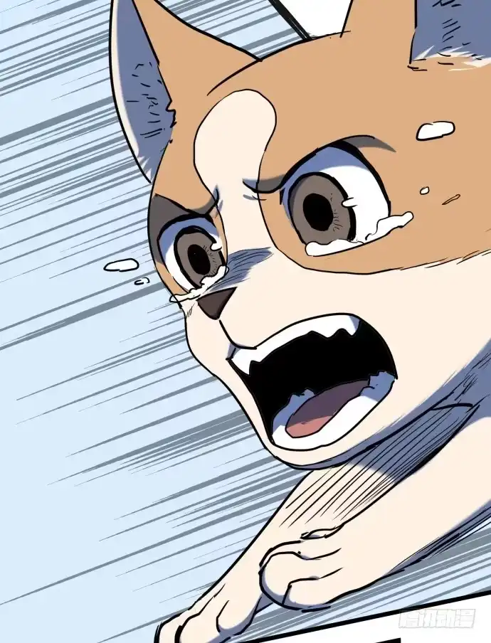 《狗城》我一定会保护犬封人 第8页