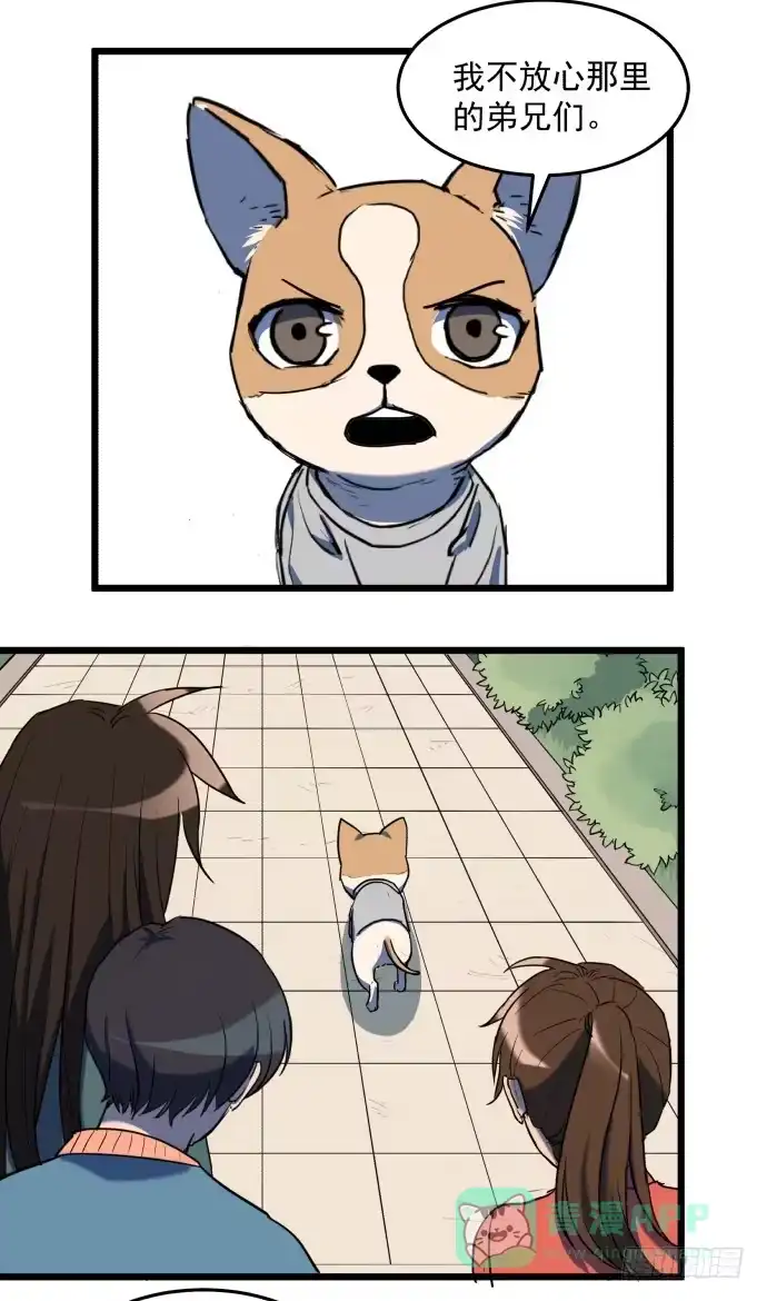 《狗城》我一定会保护犬封人 第21页