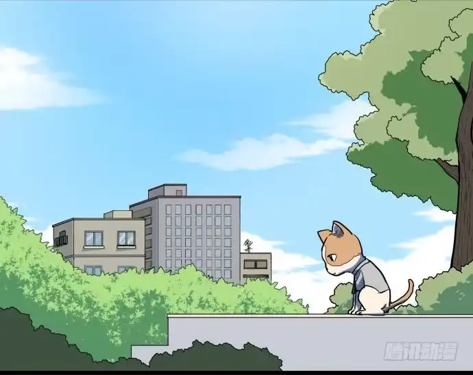 《狗城》我一定会保护犬封人 第37页