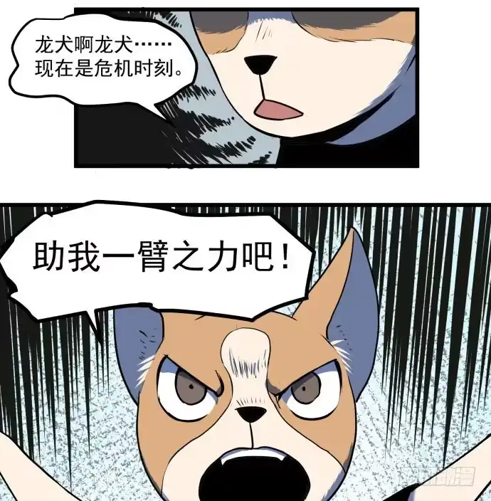 《狗城》贿赂和袭击？重罪！ 第44页