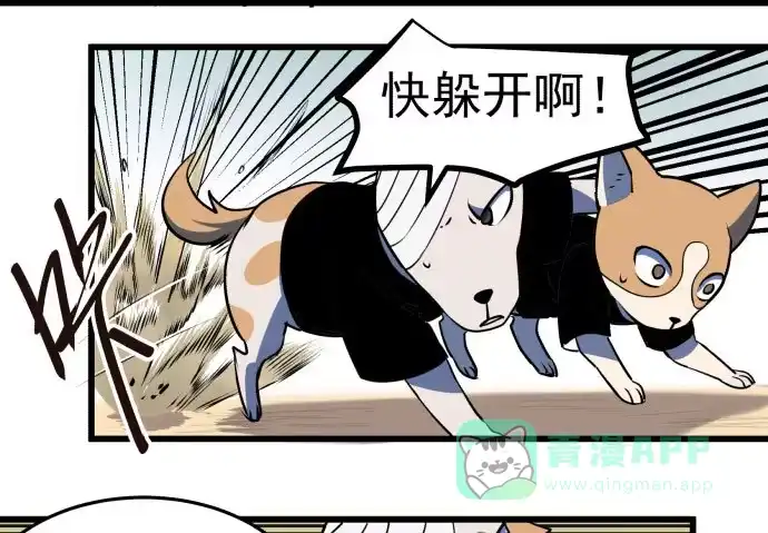 《狗城》贿赂和袭击？重罪！ 第6页