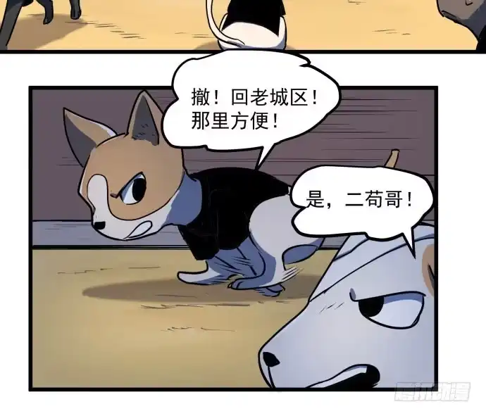 《狗城》贿赂和袭击？重罪！ 第39页