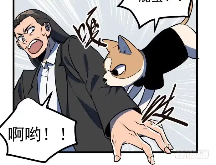 《狗城》贿赂和袭击？重罪！ 第13页