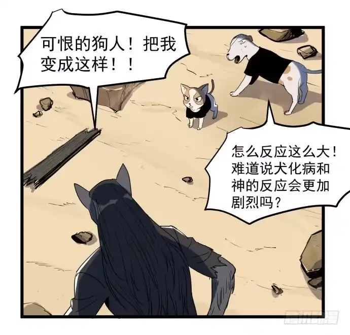 《狗城》神仙打架，为何要伤及无辜！ 第35页