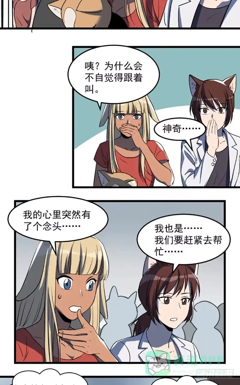 《狗城》龙犬再现！ 第16页