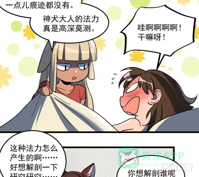 《狗城》大结局：再见了！后会有期！ 第51页