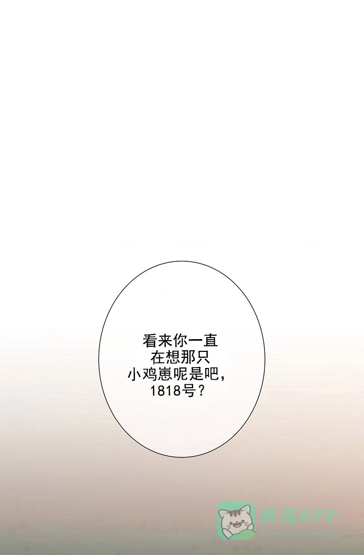 《狗和狼的时间》第19话 第1页