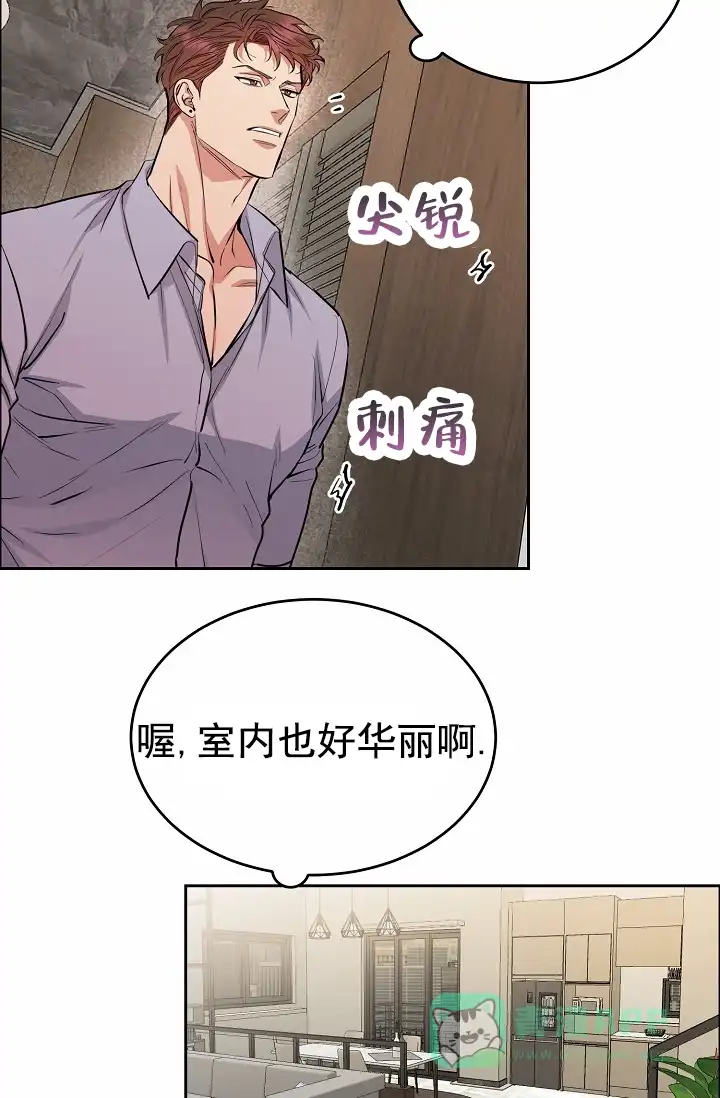 《狗和鸟》第16话 第6页