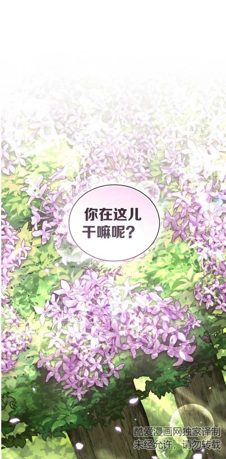 《勾引伯爵小姐的爱人》第36话 第19页