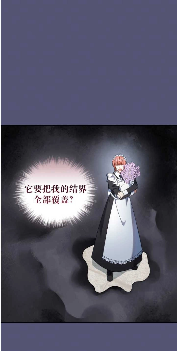 《勾引伯爵小姐的爱人》第38话 第62页