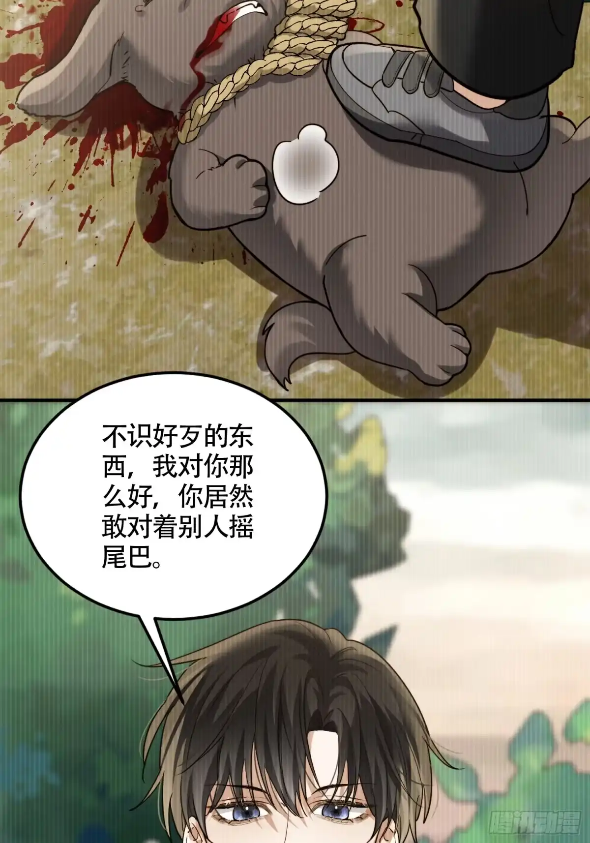 25.jpg