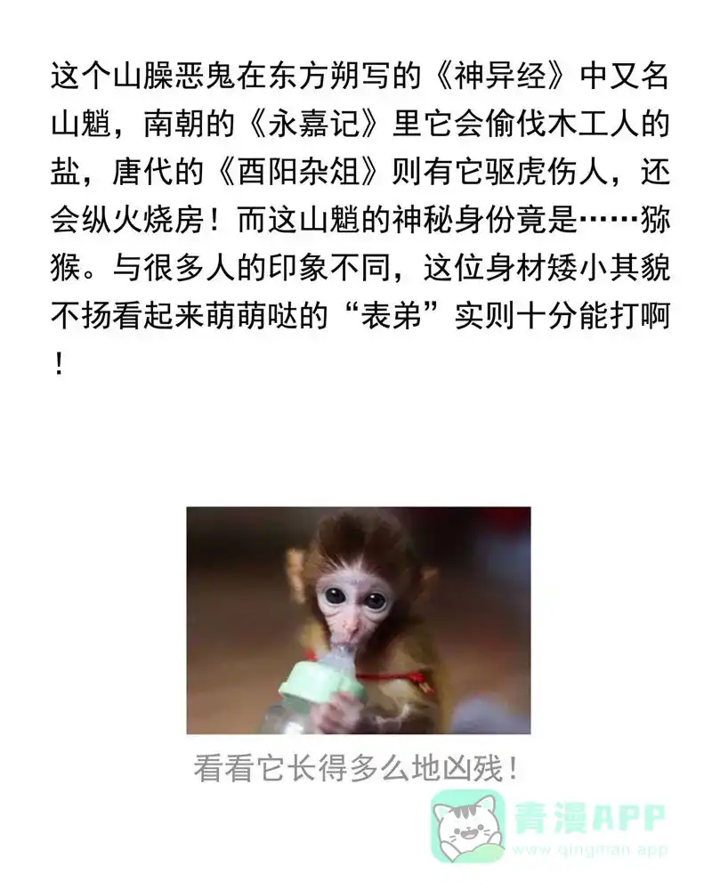 《怪医乱神》[第11.5话] 小剧场系列 第38页