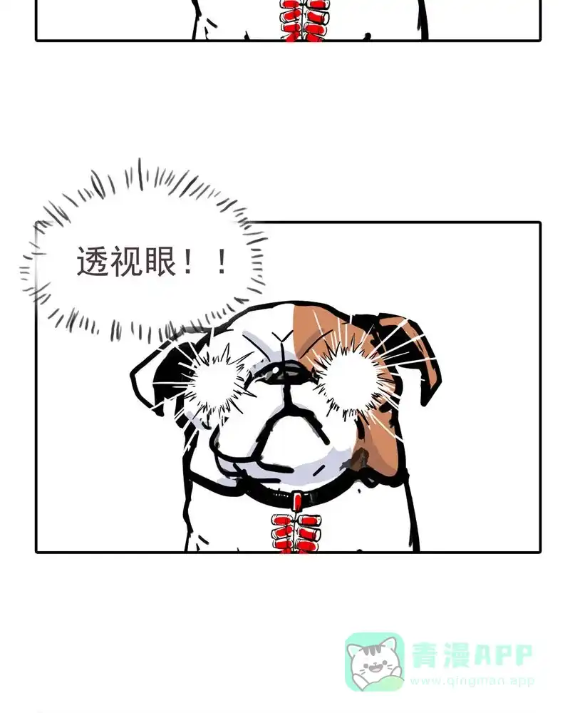 《怪医乱神》[第11.5话] 小剧场系列 第19页