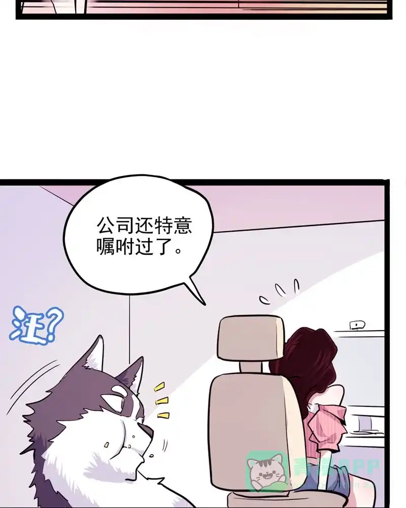 《怪医乱神》[第15话] 小姐姐(4) 第72页