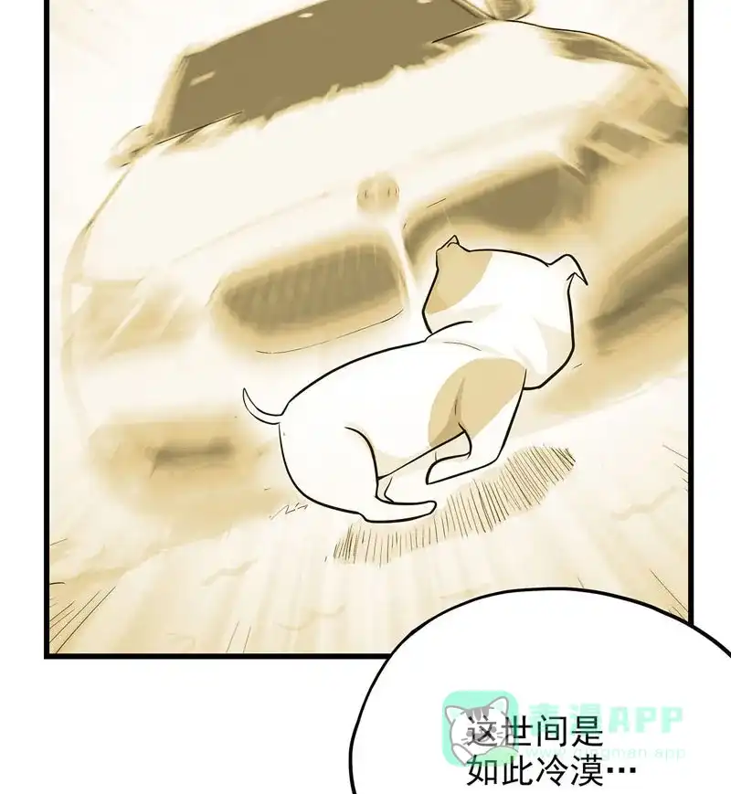 《怪医乱神》[第43话] 必报（21） 第42页