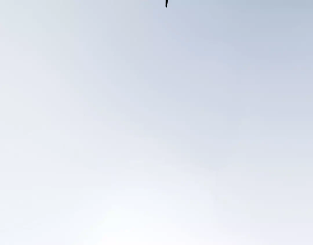 73.jpg